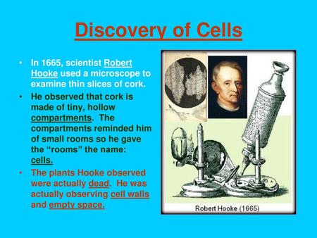 Discovery of Cells In 1665, scientist Robert Hooke used a microscope to examine thin slices of cork. He observed that cork is made of tiny, hollow compartments.