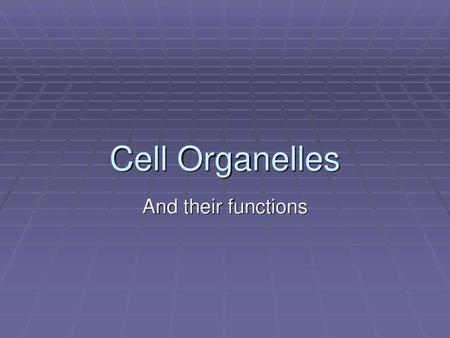 Cell Organelles And their functions.