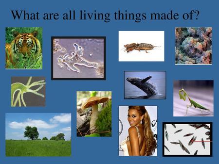 What are all living things made of?