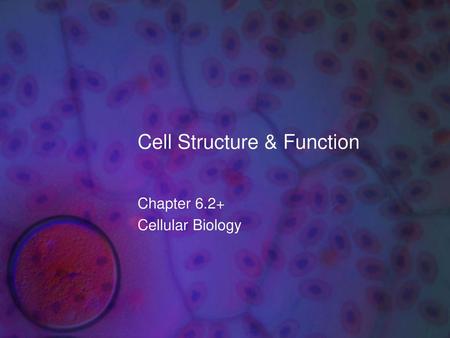 Cell Structure & Function