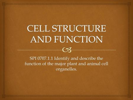 CELL STRUCTURE AND FUNCTION