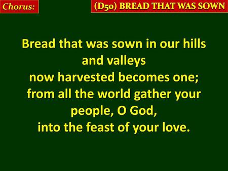 Bread that was sown in our hills and valleys