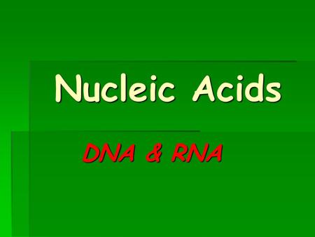 Nucleic Acids DNA & RNA.