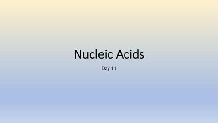 Nucleic Acids Day 11.