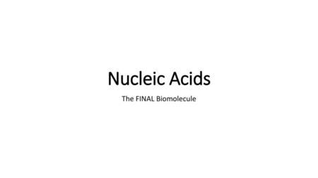 Nucleic Acids The FINAL Biomolecule.