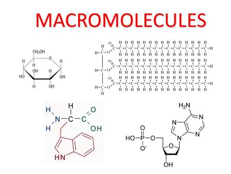 MACROMOLECULES.