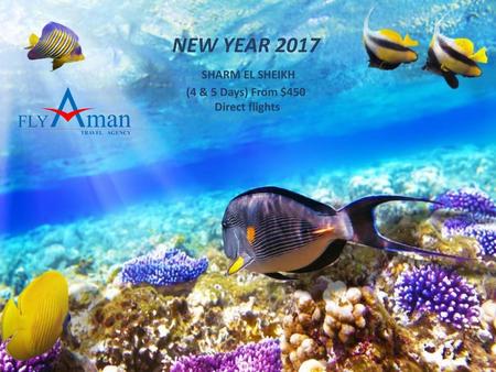 NEW YEAR 2017 SHARM EL SHEIKH