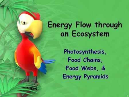 Energy Flow through an Ecosystem