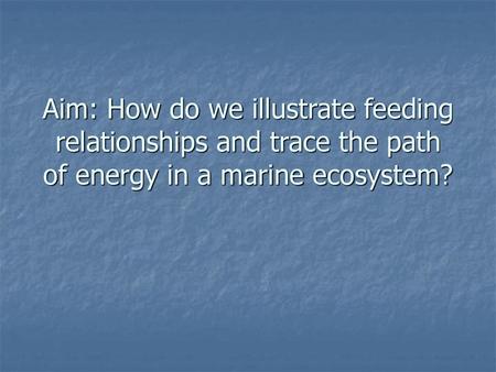 Food Webs Food chains and food webs show the flow of energy through an ecosystem or “what eats what” 2.