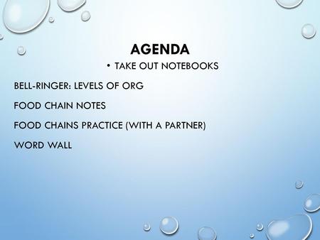 AGENDA Take out notebooks Bell-ringer: Levels of ORG Food CHAIN notes