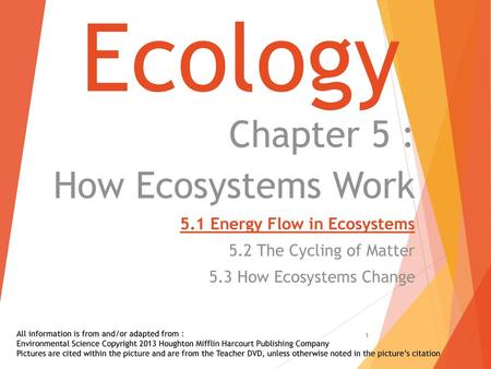 Ecology Chapter 5 : How Ecosystems Work 5.1 Energy Flow in Ecosystems