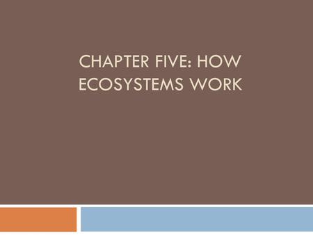 Chapter Five: How Ecosystems Work