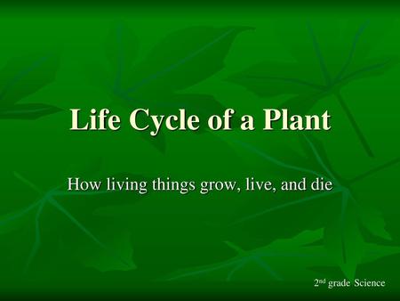 How living things grow, live, and die