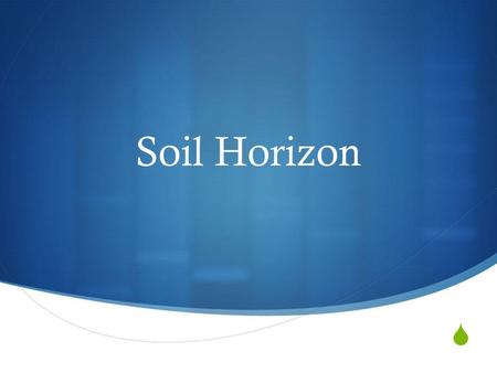 Soil Horizon.