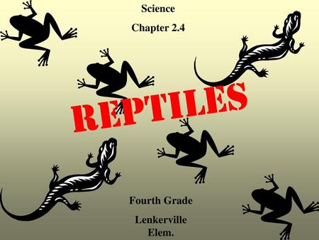 Science Chapter 2.4 Reptiles Fourth Grade Lenkerville Elem.