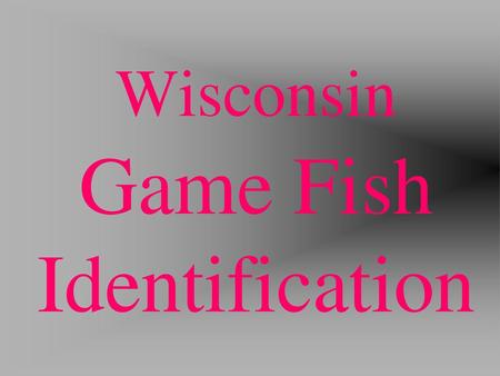 Wisconsin Game Fish Identification