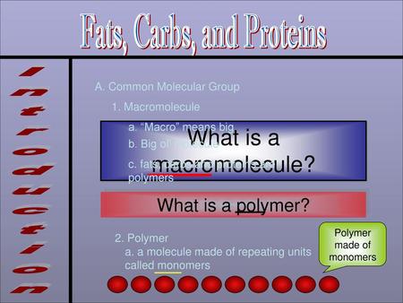 What is a macromolecule?