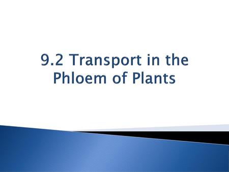 9.2 Transport in the Phloem of Plants