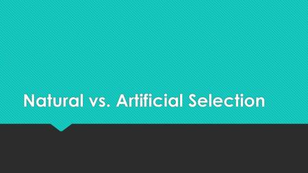 Natural vs. Artificial Selection