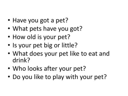 Have you got a pet? What pets have you got? How old is your pet?