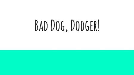 Bad Dog, Dodger!.