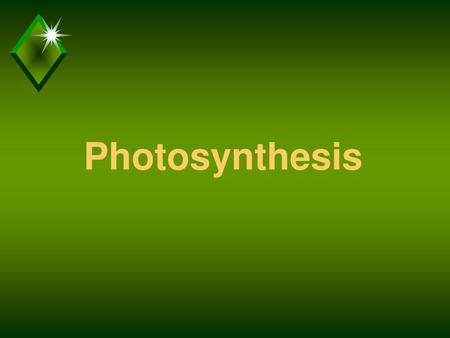 Photosynthesis.