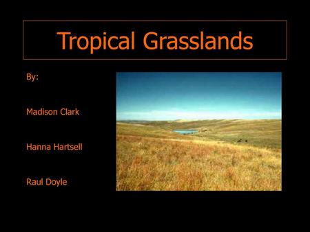 Tropical Grasslands By: Madison Clark Hanna Hartsell Raul Doyle.