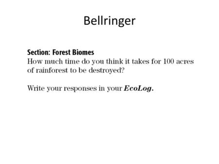 Bellringer.