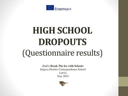 HIGH SCHOOL DROPOUTS (Questionnaire results)