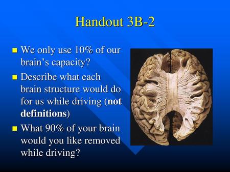 Handout 3B-2 We only use 10% of our brain’s capacity?