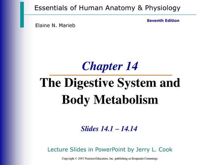 Chapter 14 The Digestive System and Body Metabolism