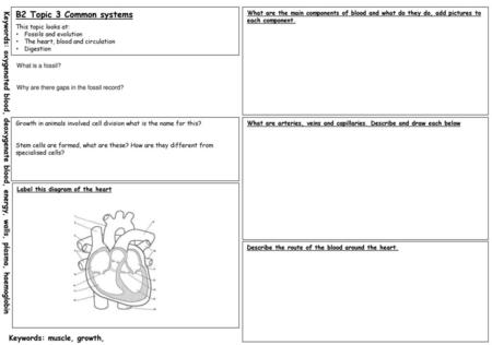 B2 Topic 3 Common systems This topic looks at: Fossils and evolution