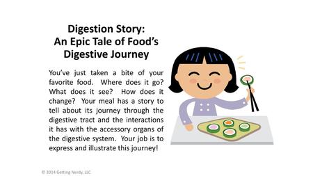 An Epic Tale of Food’s Digestive Journey