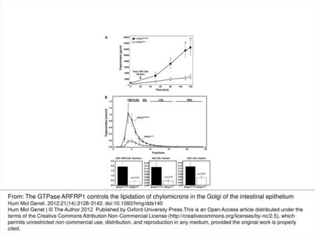 Figure 3. Reduced fat absorption of Arfrp1vil−/− mice. (A) A fat tolerance test was performed in 5 h fasted Arfrp1flox/flox and Arfrp1vil−/−