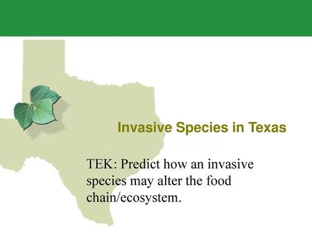 Invasive Species in Texas