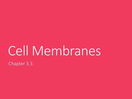 Cell Membranes Chapter 3.3.