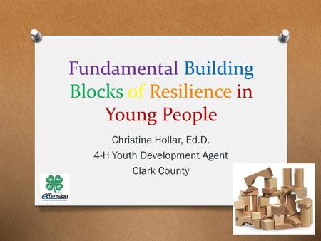 Fundamental Building Blocks of Resilience in Young People