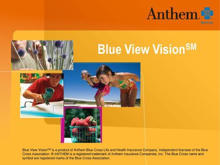 Blue View VisionSM Blue View VisionSM is a product of Anthem Blue Cross Life and Health Insurance Company. Independent licensee of the Blue Cross Association.