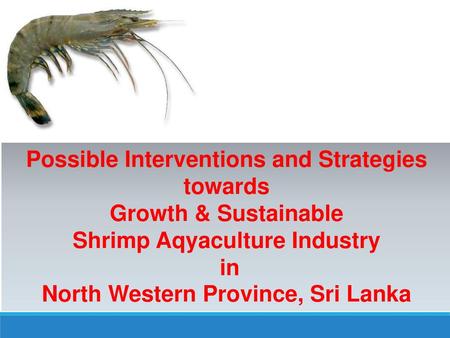 Possible Interventions and Strategies towards Growth & Sustainable Shrimp Aqyaculture Industry in North Western Province, Sri Lanka.