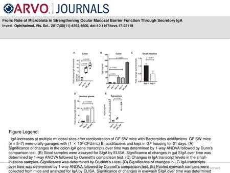 Invest. Ophthalmol. Vis. Sci ;58(11): doi: /iovs Figure Legend: