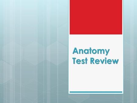 Anatomy Test Review.