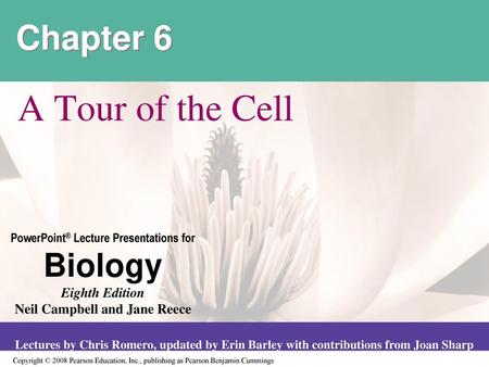 Chapter 6 A Tour of the Cell.