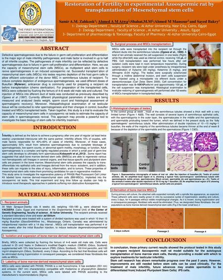 Restoration of Fertility in experimental Azoospermic rat by transplantation of Mesenchymal stem cells Samir A.M. Zahkook1; Ahmed A M Atwa2;Shahat,M.M2;Ahmed.