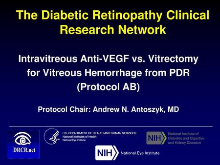 The Diabetic Retinopathy Clinical Research Network