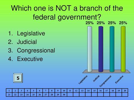 Which one is NOT a branch of the federal government?