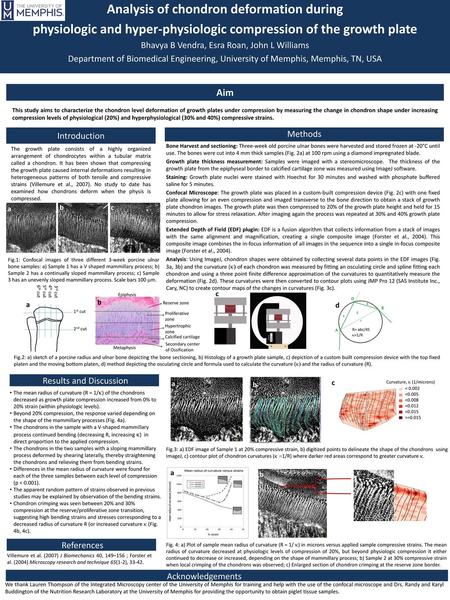 Analysis of chondron deformation during