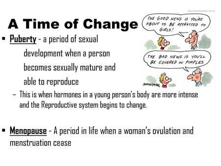 A Time of Change Puberty - a period of sexual