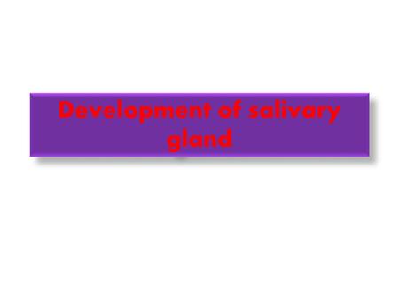 Development of salivary gland