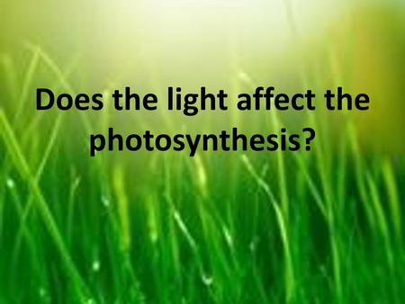 Does the light affect the photosynthesis?