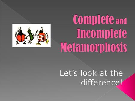 Complete and Incomplete Metamorphosis